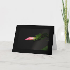 Blume Cactus Christmas Bloom Feiertagskarte