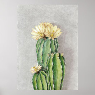 Blume Cactus Poster