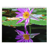 Blume Calander Kalender (Titelbild)