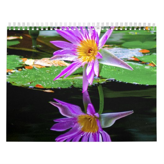 Blume Calander Kalender (Titelbild)