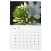 Blume Calander Kalender (Jan 2027)