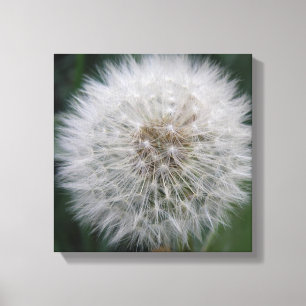 Blume Canvas, die Kronleuchter anrichten Leinwanddruck