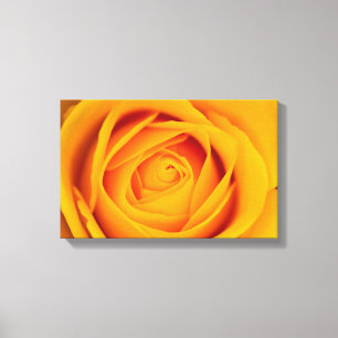 Blume Canvas Leinwanddruck