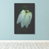 Blume Canvas Leinwanddruck (Insitu (Holzboden))