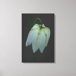 Blume Canvas Leinwanddruck