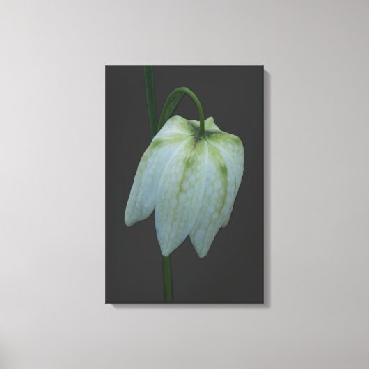 Blume Canvas Leinwanddruck (Vorderseite)