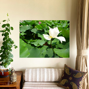 Blume Canvas Poster