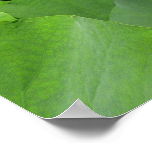 Blume Canvas Poster (Ecke)