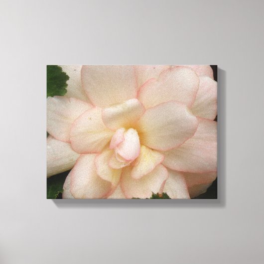 Blume Canvas Print Leinwanddruck (Vorderseite)