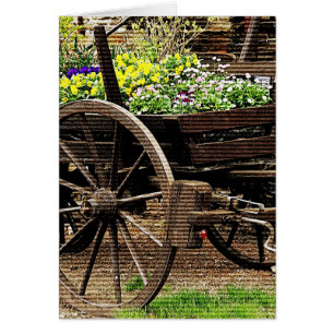 Blume Cart