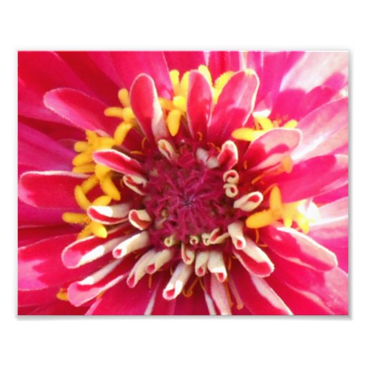 Blume-Center-Schließung Fotodruck (Vorne)