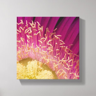 Blume Center Wrapped Canvas Leinwanddruck