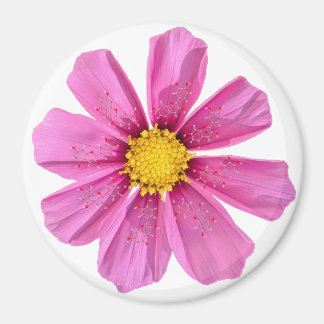 Blume Chemie Magnet