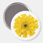 Blume Chemie Magnet Marigold (Vorderseite/Rückseite)