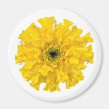 Blume Chemie Magnet Marigold