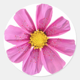 Blume Chemieaufkleber Runder Aufkleber