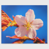 Blume Cherry Sakura Geschenkpapier (Flach)