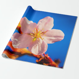Blume Cherry Sakura Geschenkpapier