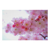 Blume Cherry Tree Poster (Vorderseite)