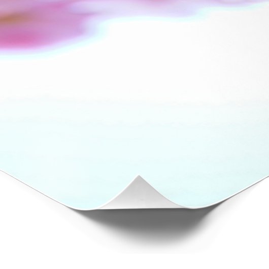 Blume Cherry Tree Poster (Ecke)