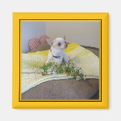 Blume Chihuahua Magnet (Vorne)