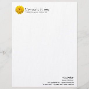 Blume - Chrysantheme Briefkopf
