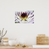 Blume Clematis Poster (Küche)