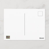 Blume Cleome oder Spione - Lila Postkarte (Rückseite)