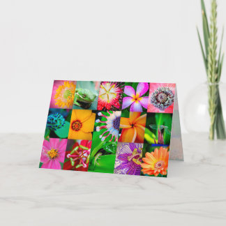 Blume Collage Garden Blumenblume Jeder Anlass Leer Feiertagskarte