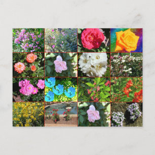 Blume Collage Postcard Postkarte