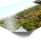 Blume Coop Fotodruck (Ecke)