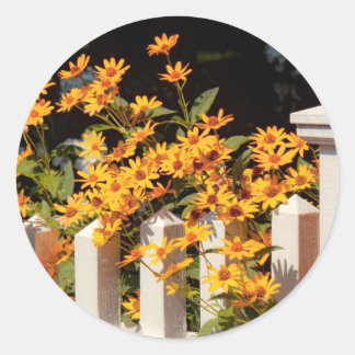 Blume - Coreopsis - Die Wärme des Sommers Runder Aufkleber