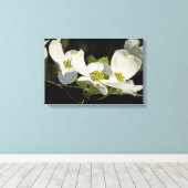 Blume Cornus florida Leinwanddruck (Insitu (Holzboden))
