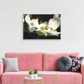 Blume Cornus florida Leinwanddruck (Insitu (Wohnzimmer))