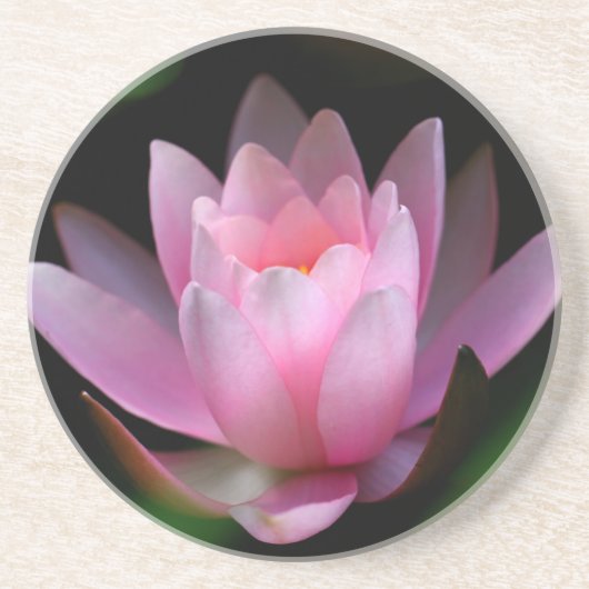 Blume coster sandstein untersetzer (Vorne)