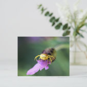 Blume Crab Spider Postkarte (Stehend Vorderseite)