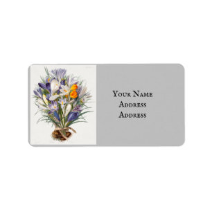 Blume Crocus Spring Botanische Blumenpracht Adressaufkleber