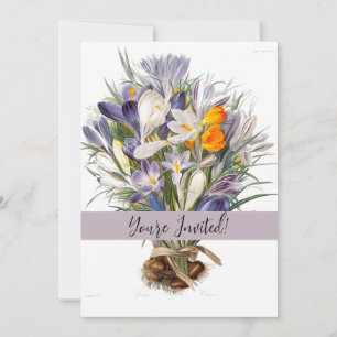 Blume Crocus Spring Botanische Blumenpracht Einladung
