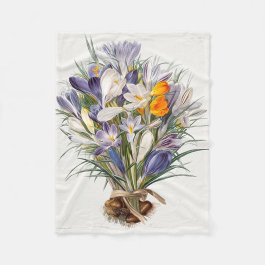 Blume Crocus Spring Botanische Blumenpracht Fleecedecke (Vorderseite)