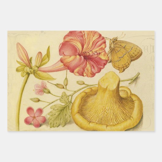 Blume Crocus Spring Botanische Blumenpracht Geschenkpapier Set (Vorderseite 2)