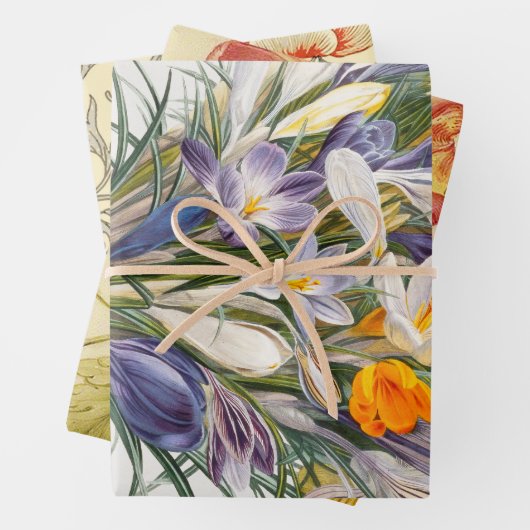 Blume Crocus Spring Botanische Blumenpracht Geschenkpapier Set (Beispiel)