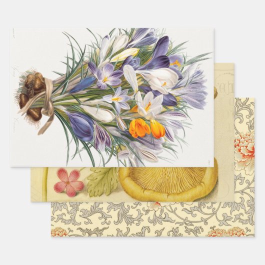 Blume Crocus Spring Botanische Blumenpracht Geschenkpapier Set (Set)
