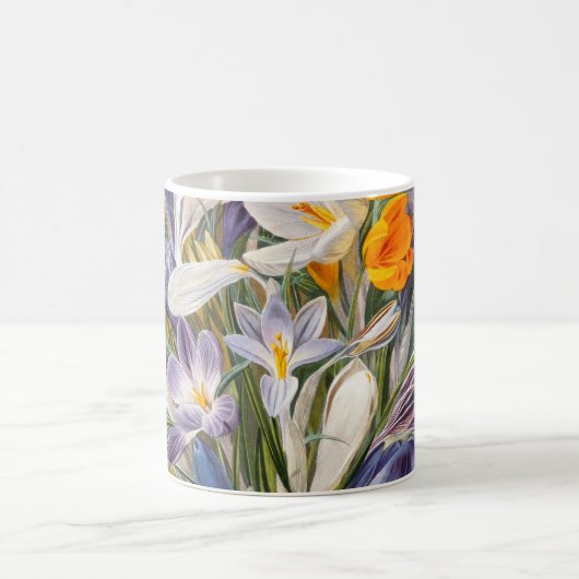 Blume Crocus Spring Botanische Blumenpracht Kaffeetasse (Mittel)