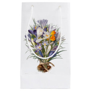 Blume Crocus Spring Botanische Blumenpracht Kleine Geschenktüte