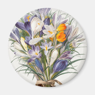 Blume Crocus Spring Botanische Blumenpracht Magnet