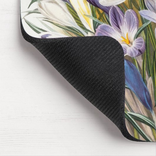 Blume Crocus Spring Botanische Blumenpracht Mousepad (Ecke)