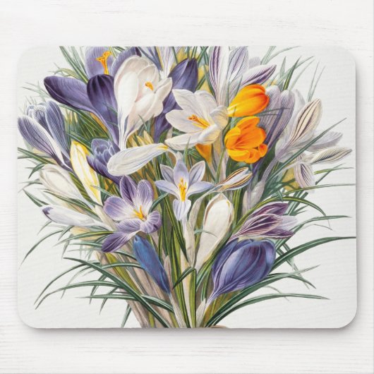 Blume Crocus Spring Botanische Blumenpracht Mousepad (Vorne)