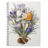 Blume Crocus Spring Botanische Blumenpracht Notizblock (Vorderseite)