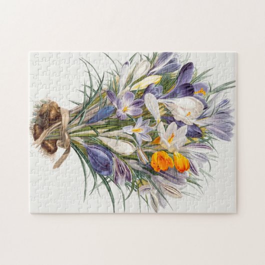 Blume Crocus Spring Botanische Blumenpracht Puzzle (Horizontal)