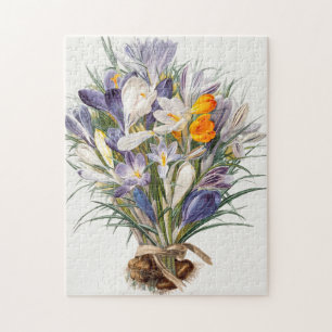 Blume Crocus Spring Botanische Blumenpracht Puzzle
